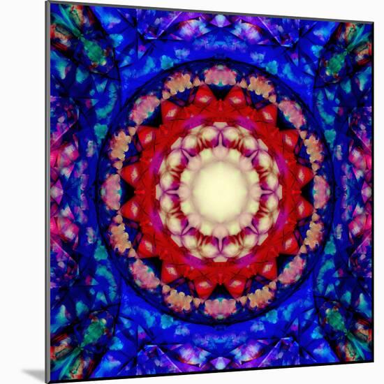 Mandala Ornament from Flowers-Alaya Gadeh-Mounted Photographic Print