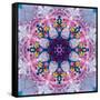 Mandala Ornament from Poeny Blossoms-Alaya Gadeh-Framed Stretched Canvas