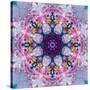 Mandala Ornament from Poeny Blossoms-Alaya Gadeh-Stretched Canvas