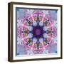 Mandala Ornament from Poeny Blossoms-Alaya Gadeh-Framed Photographic Print