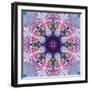 Mandala Ornament from Poeny Blossoms-Alaya Gadeh-Framed Photographic Print