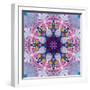 Mandala Ornament from Poeny Blossoms-Alaya Gadeh-Framed Photographic Print