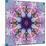 Mandala Ornament from Poeny Blossoms-Alaya Gadeh-Mounted Photographic Print