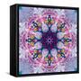 Mandala Ornament from Poeny Blossoms-Alaya Gadeh-Framed Stretched Canvas