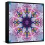 Mandala Ornament from Poeny Blossoms-Alaya Gadeh-Framed Stretched Canvas