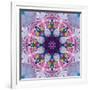 Mandala Ornament from Poeny Blossoms-Alaya Gadeh-Framed Photographic Print