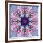 Mandala Ornament from Poeny Blossoms-Alaya Gadeh-Framed Photographic Print