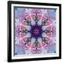 Mandala Ornament from Poeny Blossoms-Alaya Gadeh-Framed Photographic Print