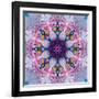 Mandala Ornament from Poeny Blossoms-Alaya Gadeh-Framed Photographic Print