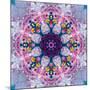 Mandala Ornament from Poeny Blossoms-Alaya Gadeh-Mounted Photographic Print