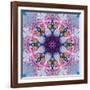 Mandala Ornament from Poeny Blossoms-Alaya Gadeh-Framed Photographic Print