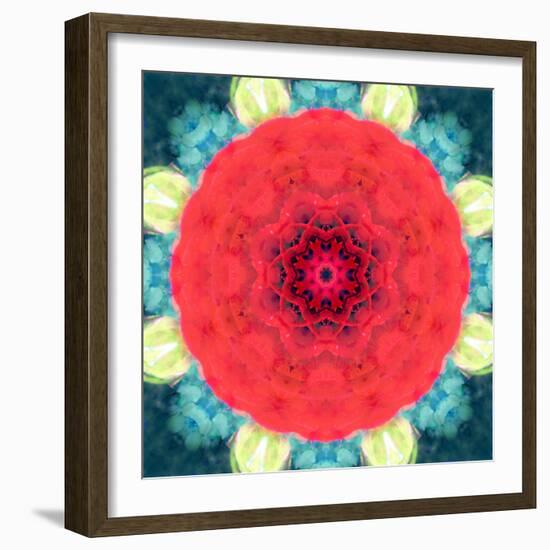 Mandala Ornament from Red Blooming Flowers, Conceptual Photographic Layer Work-Alaya Gadeh-Framed Photographic Print