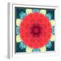 Mandala Ornament from Red Blooming Flowers, Conceptual Photographic Layer Work-Alaya Gadeh-Framed Photographic Print