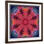 Mandala Ornament from Red Blooming Flowers, Conceptual Photographic Layer Work-Alaya Gadeh-Framed Photographic Print