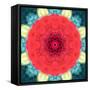 Mandala Ornament from Red Blooming Flowers, Conceptual Photographic Layer Work-Alaya Gadeh-Framed Stretched Canvas