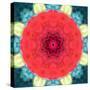 Mandala Ornament from Red Blooming Flowers, Conceptual Photographic Layer Work-Alaya Gadeh-Stretched Canvas