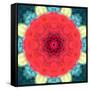 Mandala Ornament from Red Blooming Flowers, Conceptual Photographic Layer Work-Alaya Gadeh-Framed Stretched Canvas