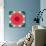 Mandala Ornament from Red Blooming Flowers, Conceptual Photographic Layer Work-Alaya Gadeh-Stretched Canvas displayed on a wall