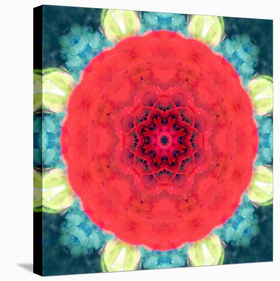 Mandala Ornament from Red Blooming Flowers, Conceptual Photographic Layer Work-Alaya Gadeh-Stretched Canvas