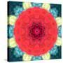 Mandala Ornament from Red Blooming Flowers, Conceptual Photographic Layer Work-Alaya Gadeh-Stretched Canvas