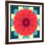 Mandala Ornament from Red Blooming Flowers, Conceptual Photographic Layer Work-Alaya Gadeh-Framed Photographic Print