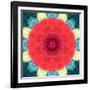 Mandala Ornament from Red Blooming Flowers, Conceptual Photographic Layer Work-Alaya Gadeh-Framed Photographic Print