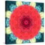 Mandala Ornament from Red Blooming Flowers, Conceptual Photographic Layer Work-Alaya Gadeh-Stretched Canvas
