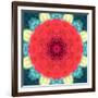 Mandala Ornament from Red Blooming Flowers, Conceptual Photographic Layer Work-Alaya Gadeh-Framed Photographic Print