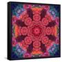 Mandala Ornament from Red Blooming Flowers, Conceptual Photographic Layer Work-Alaya Gadeh-Framed Stretched Canvas