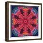 Mandala Ornament from Red Blooming Flowers, Conceptual Photographic Layer Work-Alaya Gadeh-Framed Photographic Print