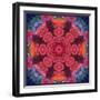 Mandala Ornament from Red Blooming Flowers, Conceptual Photographic Layer Work-Alaya Gadeh-Framed Photographic Print