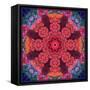Mandala Ornament from Red Blooming Flowers, Conceptual Photographic Layer Work-Alaya Gadeh-Framed Stretched Canvas