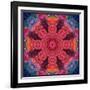 Mandala Ornament from Red Blooming Flowers, Conceptual Photographic Layer Work-Alaya Gadeh-Framed Photographic Print