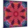 Mandala Ornament from Red Blooming Flowers, Conceptual Photographic Layer Work-Alaya Gadeh-Mounted Photographic Print