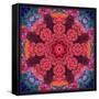 Mandala Ornament from Red Blooming Flowers, Conceptual Photographic Layer Work-Alaya Gadeh-Framed Stretched Canvas