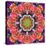 Mandala Ornament from Red Blooming Orchids, Conceptual Photographic Layer Work-Alaya Gadeh-Stretched Canvas