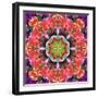 Mandala Ornament from Red Blooming Orchids, Conceptual Photographic Layer Work-Alaya Gadeh-Framed Photographic Print