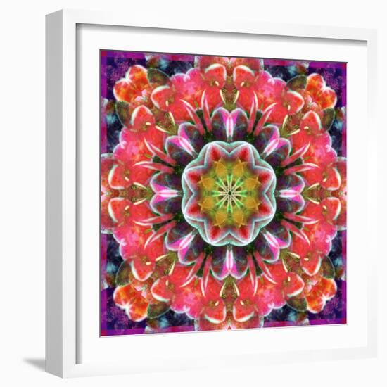 Mandala Ornament from Red Blooming Orchids, Conceptual Photographic Layer Work-Alaya Gadeh-Framed Photographic Print