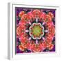 Mandala Ornament from Red Blooming Orchids, Conceptual Photographic Layer Work-Alaya Gadeh-Framed Photographic Print