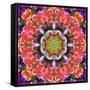 Mandala Ornament from Red Blooming Orchids, Conceptual Photographic Layer Work-Alaya Gadeh-Framed Stretched Canvas