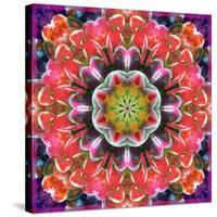 Mandala Ornament from Red Blooming Orchids, Conceptual Photographic Layer Work-Alaya Gadeh-Stretched Canvas