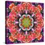 Mandala Ornament from Red Blooming Orchids, Conceptual Photographic Layer Work-Alaya Gadeh-Stretched Canvas