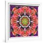 Mandala Ornament from Red Blooming Orchids, Conceptual Photographic Layer Work-Alaya Gadeh-Framed Photographic Print