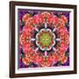 Mandala Ornament from Red Blooming Orchids, Conceptual Photographic Layer Work-Alaya Gadeh-Framed Photographic Print