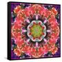 Mandala Ornament from Red Blooming Orchids, Conceptual Photographic Layer Work-Alaya Gadeh-Framed Stretched Canvas