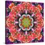 Mandala Ornament from Red Blooming Orchids, Conceptual Photographic Layer Work-Alaya Gadeh-Stretched Canvas