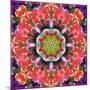 Mandala Ornament from Red Blooming Orchids, Conceptual Photographic Layer Work-Alaya Gadeh-Mounted Photographic Print