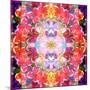 Mandala Ornament from Red Blooming Orchids, Conceptual Photographic Layer Work-Alaya Gadeh-Mounted Photographic Print