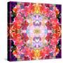 Mandala Ornament from Red Blooming Orchids, Conceptual Photographic Layer Work-Alaya Gadeh-Stretched Canvas