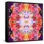 Mandala Ornament from Red Blooming Orchids, Conceptual Photographic Layer Work-Alaya Gadeh-Framed Stretched Canvas